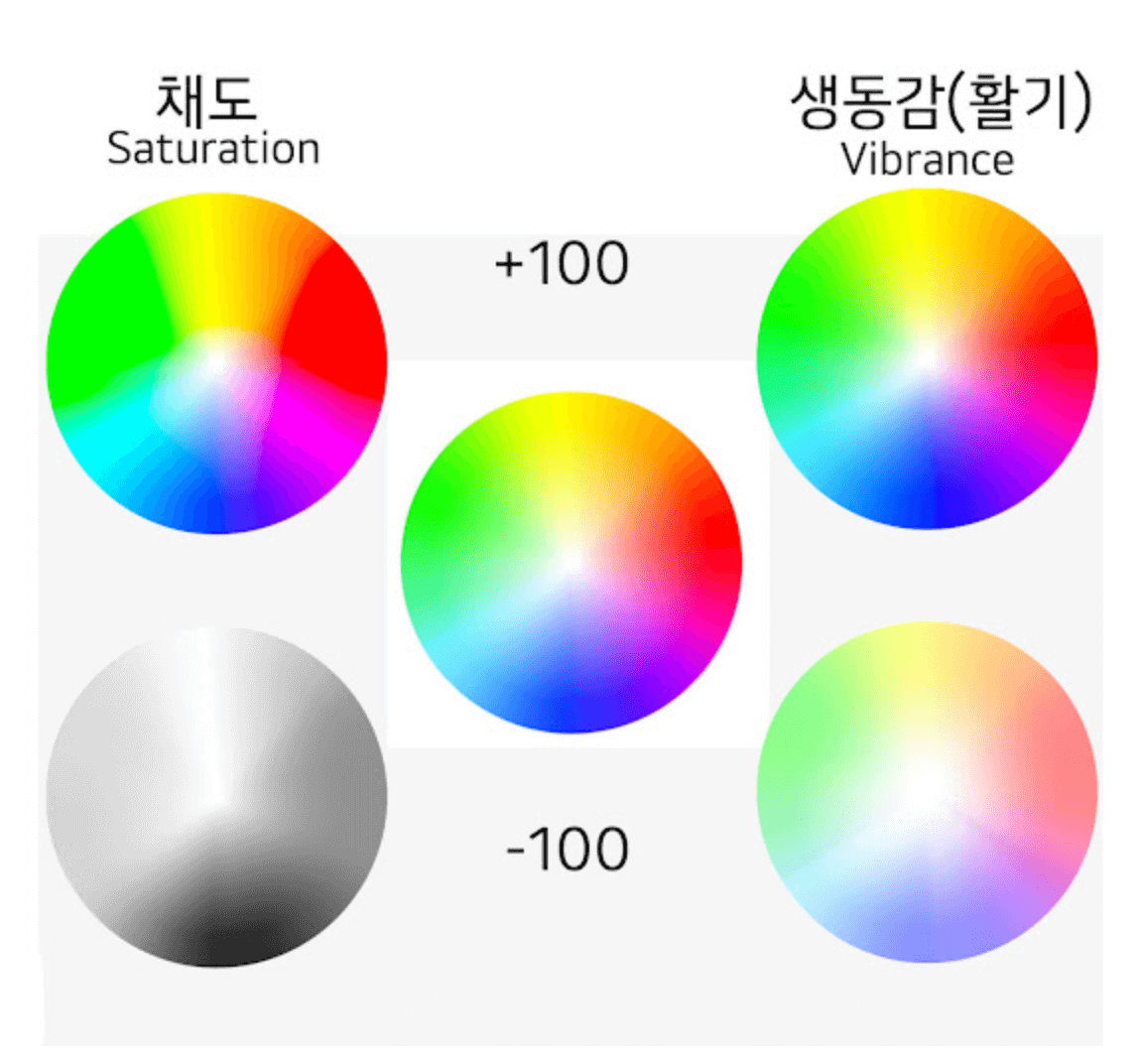 채도-생동감-차이