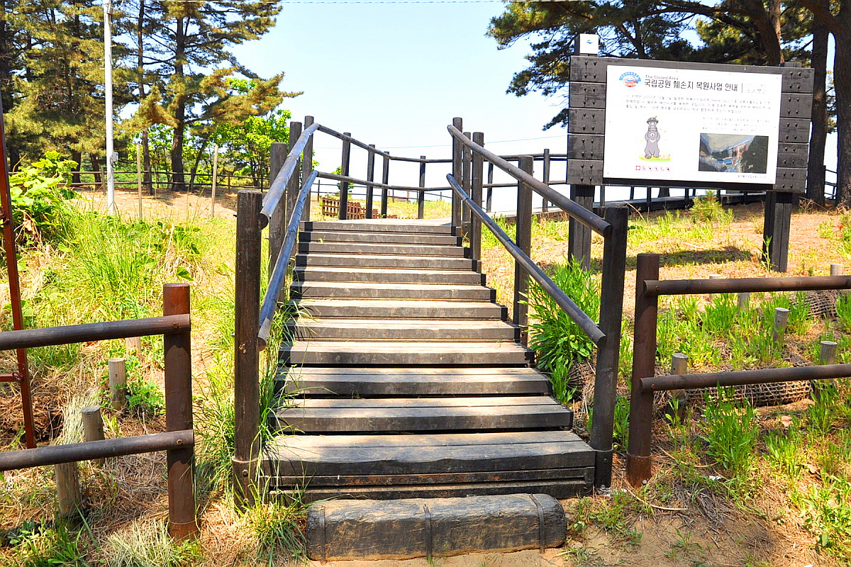 태안 구름포해수욕장