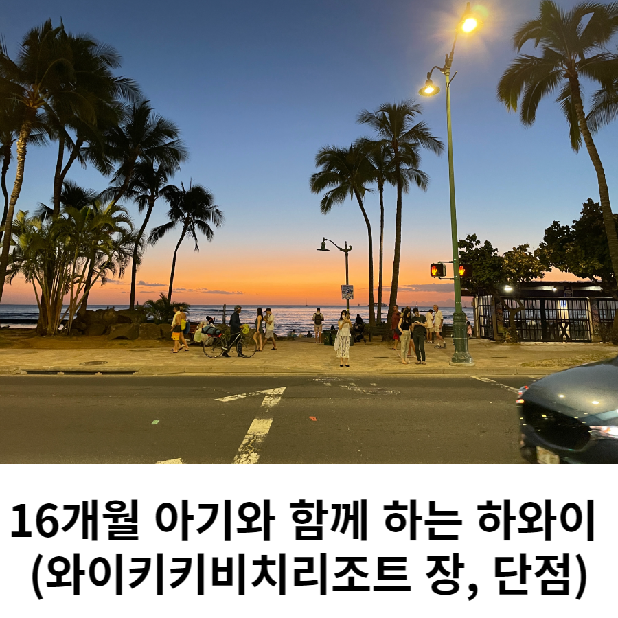  와이키키 리조트 호텔 - 하와이 여행 숙소 추천