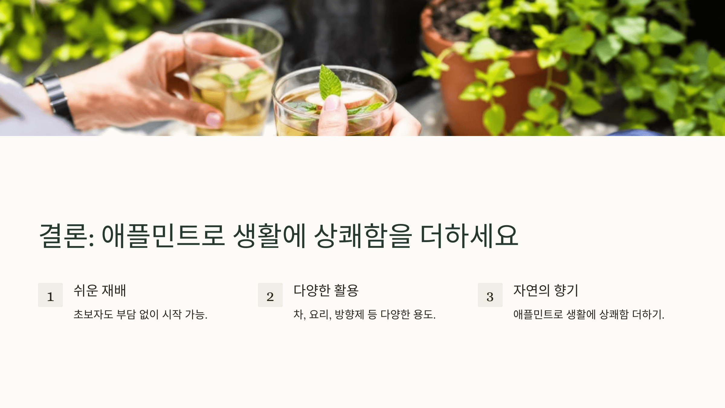 애플민트 사진입니다.