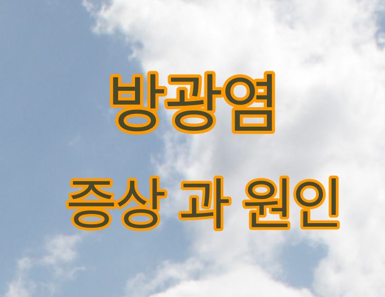  여성이 가장 많이 겪는 질병 방광염의 증상과 원인