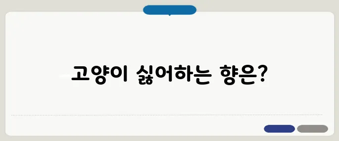 고양이가 싫어하는 냄새 퇴치에 딱 좋은 것