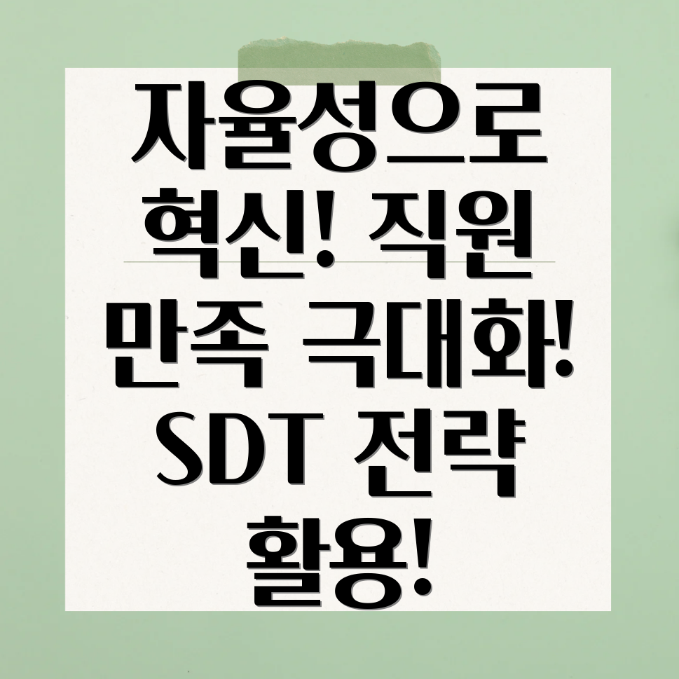 SDT 직장 적용