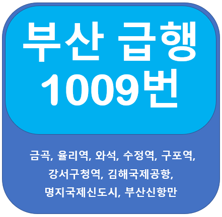  부산 1009번 버스 노선 안내(금곡,김해공항,선창마을)