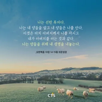 요한복음 5장 24절 성경말씀 - 내 말을 듣고 또 나 보내신 이를 믿는 자는 영생을 얻었고_6