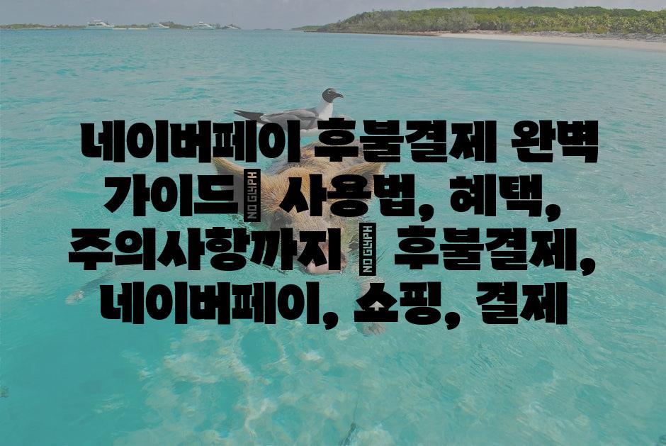 샘플 (1)
