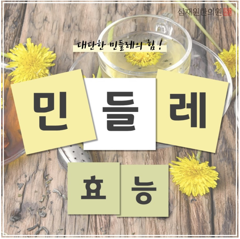  민들레 효능 7가지나 있다