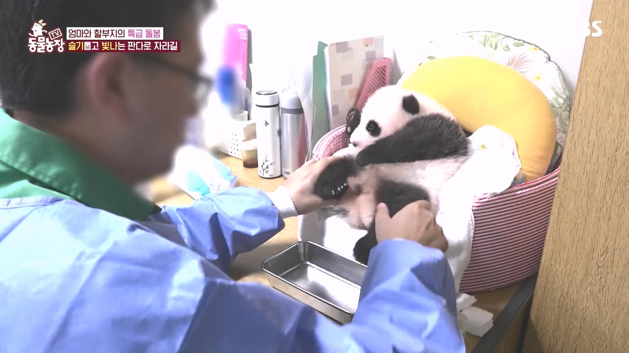 TV 동물농장.E1142.231023p-NEXT.mp4_20231022_173957.961.jpg