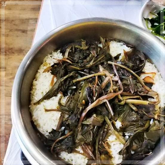  생방송 오늘저녁 15첩 산채 정식 자연의 밥상 강원 인제 추천 가게 산나물 건강 보약 밥상 9월21일 방송 정보