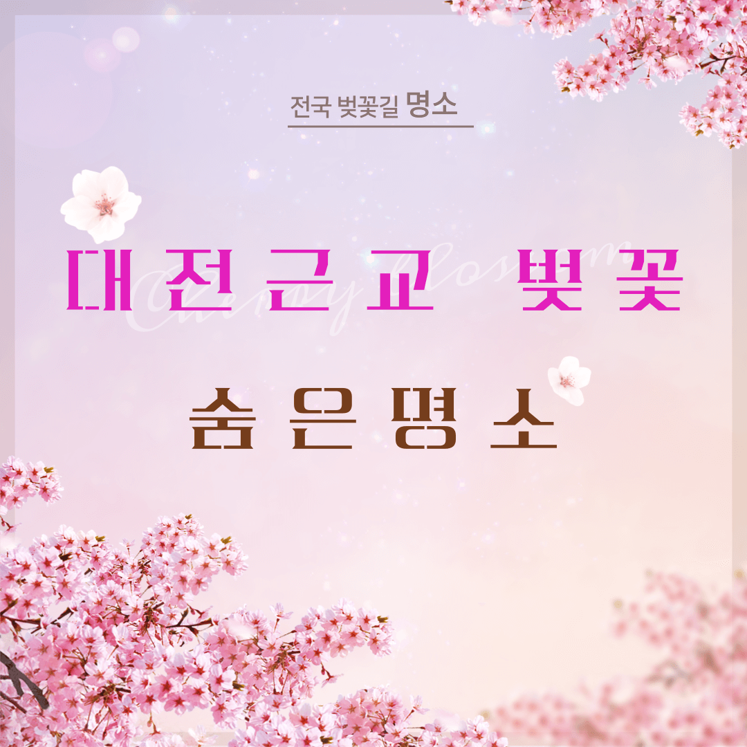대전 근교 벚꽃 숨은 명소&#44; 벚꽃 명소