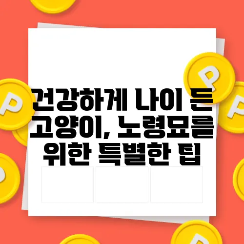 건강하게 나이 든 고양이, 노령묘를 위한 특별한 팁