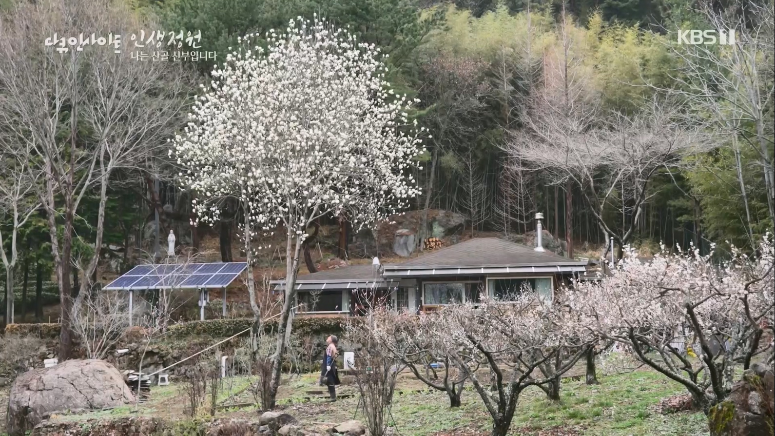 다큐 인사이트.E153.230608p.H264-F1RST.mp4_20230612_204131.486.jpg
