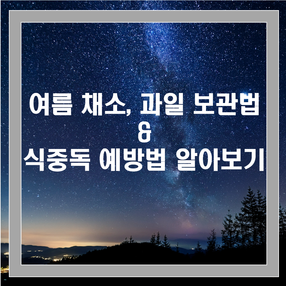 여름 채소·과일 보관법과 식중독 예방하는 방법