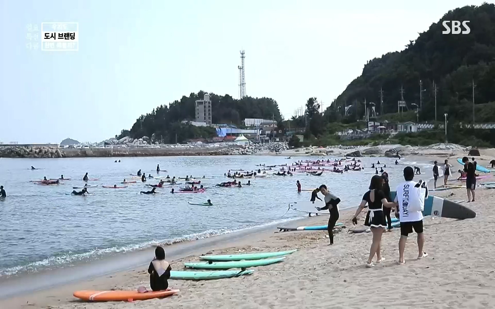 일요 특선 다큐멘터리.E287.220911p.H264-F1RST.mp4_20220912_135054.282.jpg