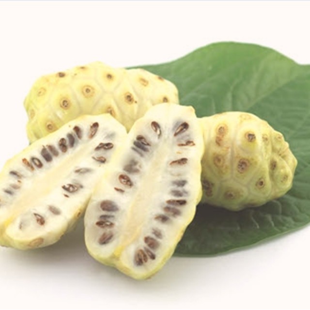  노니 효능 천연 치료제로 알려진 노니의 효능과 부작용