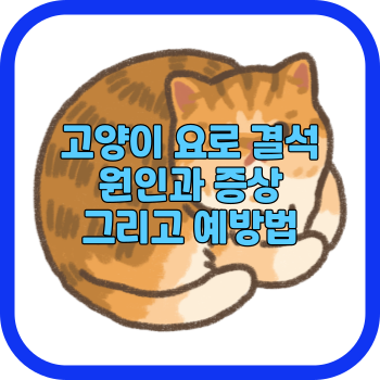 고양이 요로 결석 원인과 증상 그리고 예방법