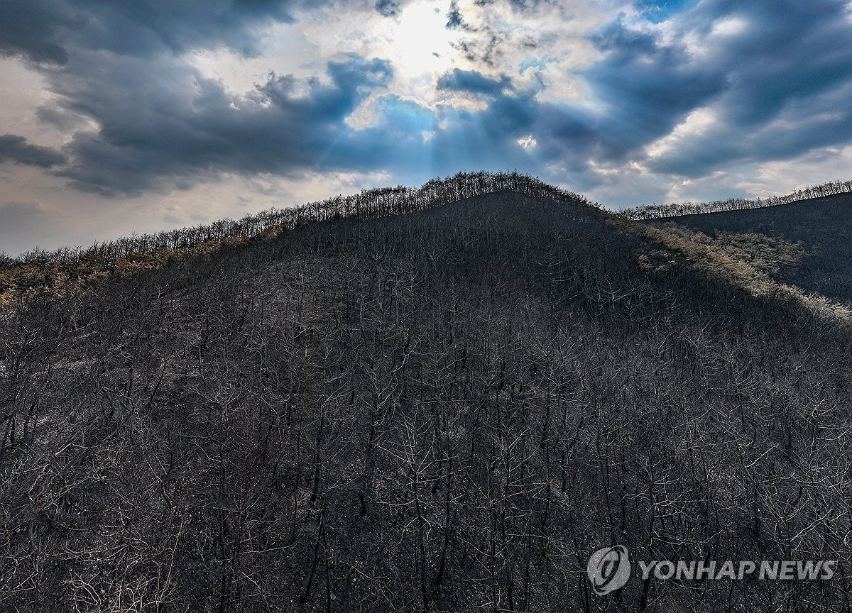 경북 산불 '진화 완료'…폐허 된 산림 비추는 햇살
(의성=연합뉴스) 윤관식 기자 = 28일 경북 의성군 산림이 산불에 폐허가 된 모습을 보이는 가운데 빛내림 현상이 관측되고 있다. 산림청은 이날 일주일간 이어진 경북 산불의 주불 진화 완료를 선언했다. 2025.3.28 psik@yna.co.kr