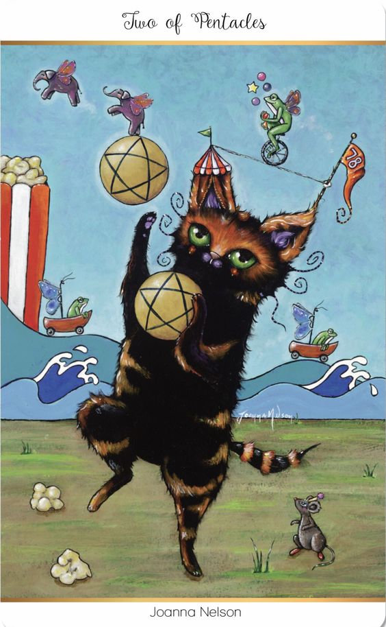 tarot card cat