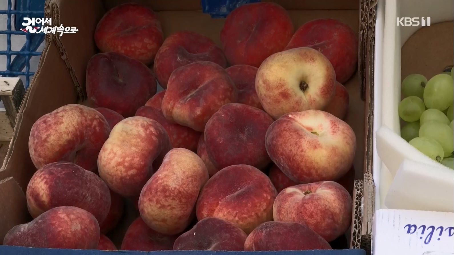 걸어서 세계속으로.E799.230708p.mp4_20230710_211601.412.jpg