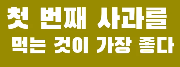 첫 번째 사과를 먹는 것이 가장 좋다