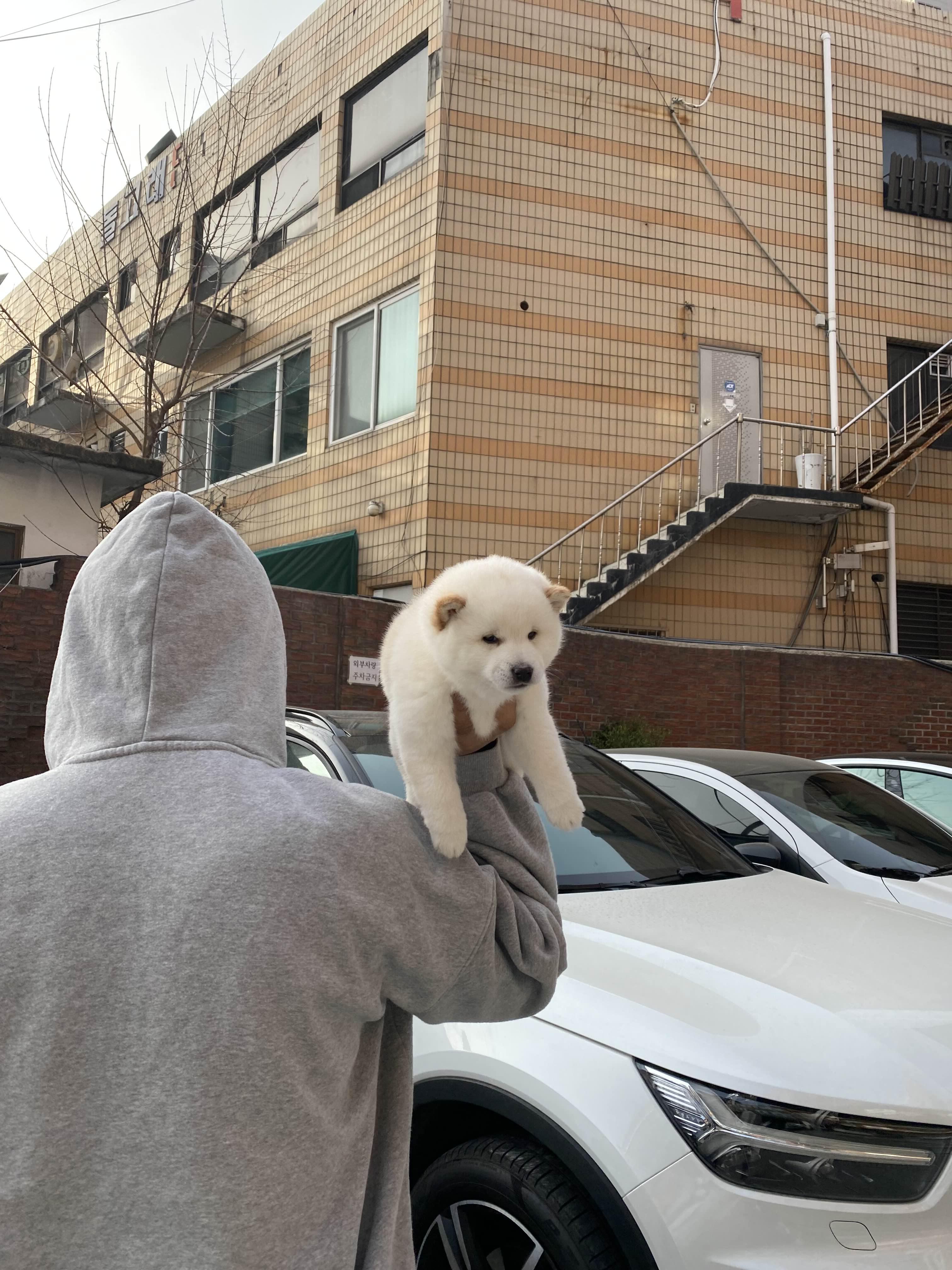 alt 태그
