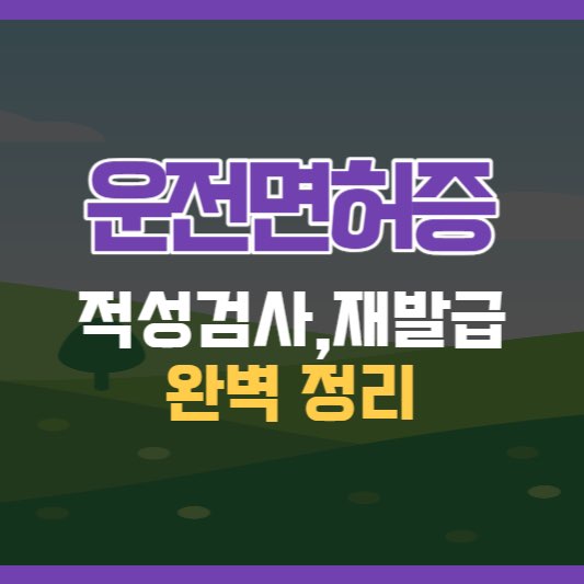 운전면허재발급