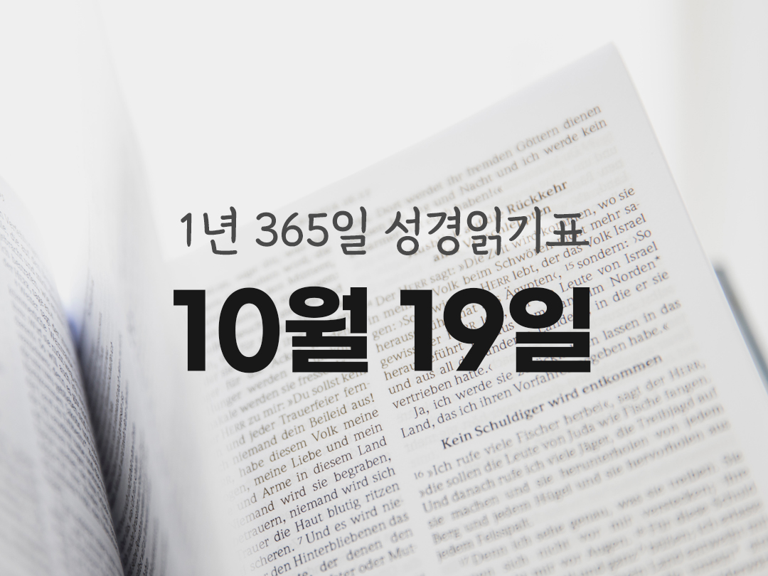 1년 365일 성경읽기표 10월 19일 마르코복음 성경읽기 진도표