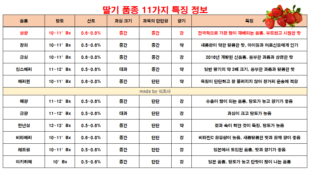 딸기품종 11가지