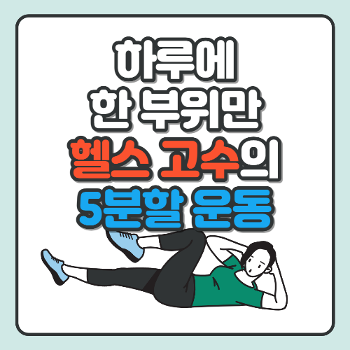 5분할