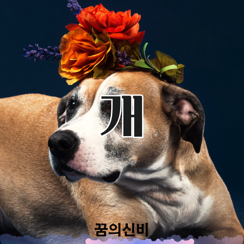 썸네일 사진