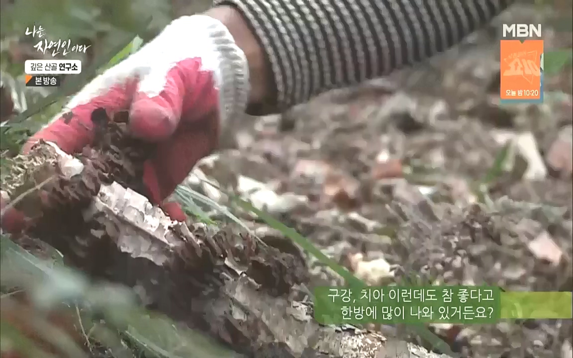 나는 자연인이다.E523.221013p.WANNA.mp4_20221013_201128.769.jpg