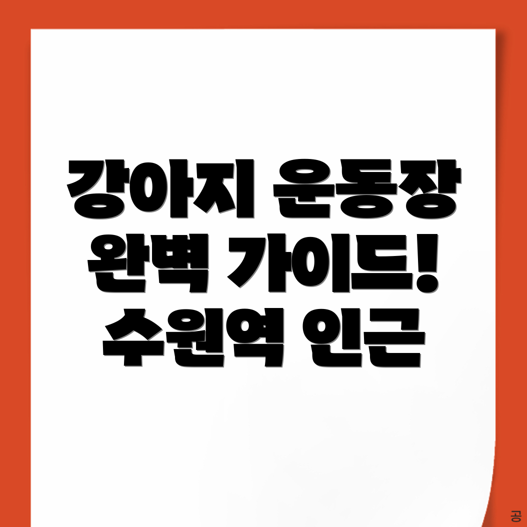 수원역 강아지 운동장
