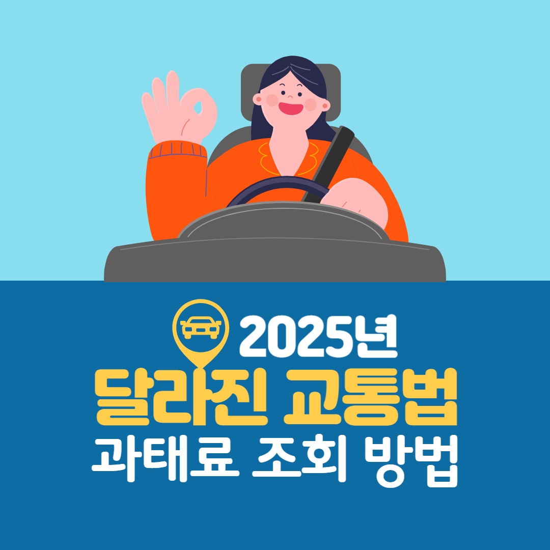 달라진 교통법