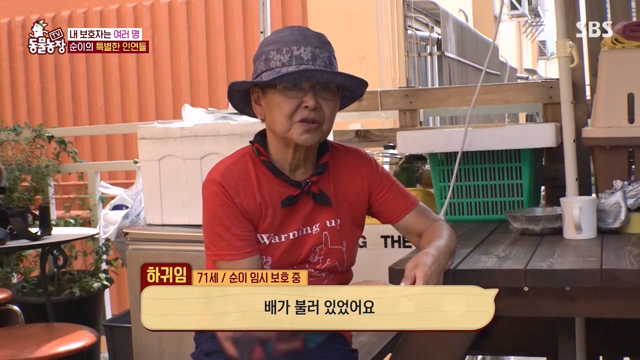 TV 동물농장.E1143.231030p-NEXT.mp4_20231029_162342.904.jpg