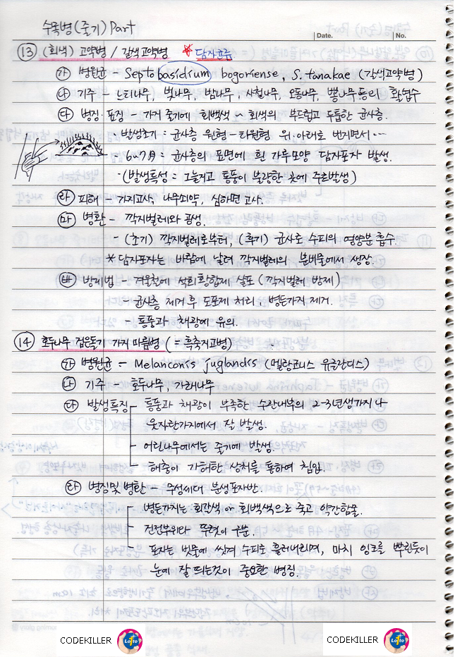 [수목병리학] 곰팡이에 의한 수목병 (줄기에 나타나는 수목병) 고약병/갈색고약병, 호두나무 검은돌기 가지끝마름병, 참나무급사병