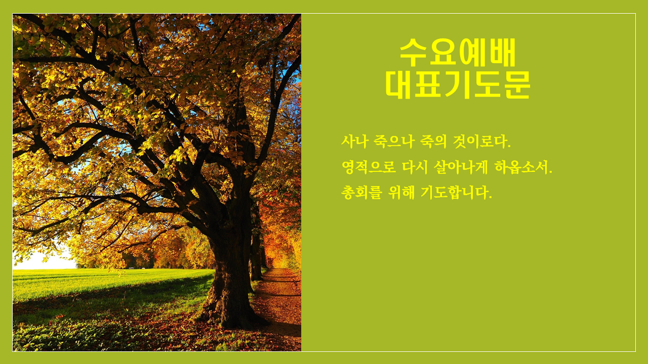  수요예배 대표기도문  11월 총회를 위한 기도