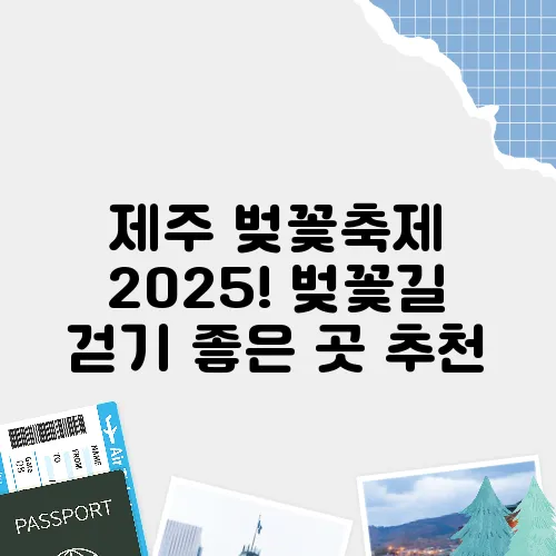 제주 벚꽃축제 2025! 벚꽃길 걷기 좋은 곳 추천
