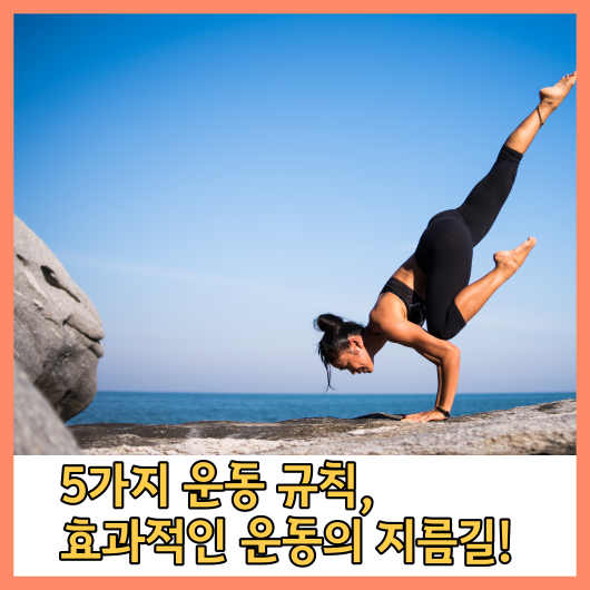 5가지 운동 규칙&#44; 효과적인 운동의 지름길!