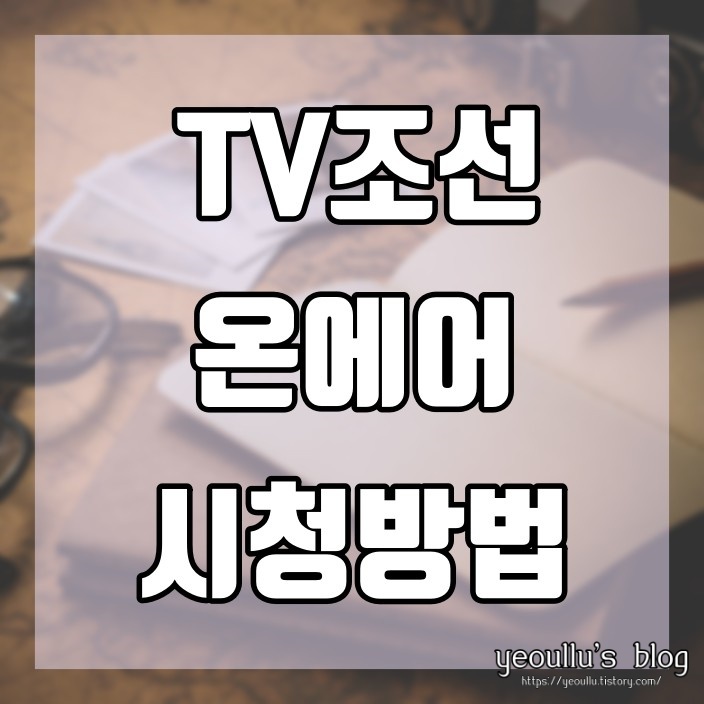  요즘 인기있는 채널 TV조선 온에서 무료 실시간 방송