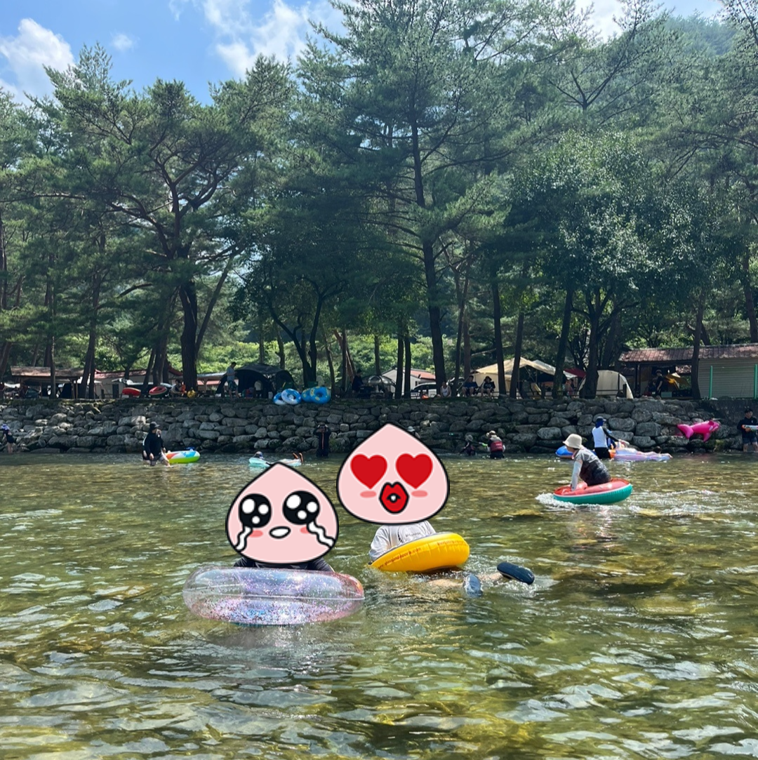 휴가를 부탁해 캠핑장 이미지