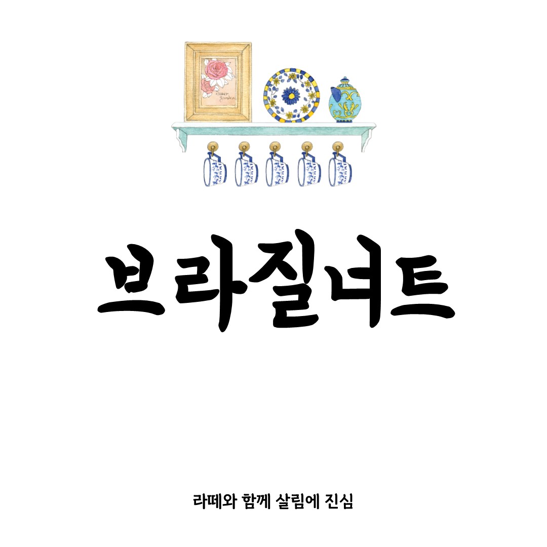 브라질너트 효능과 먹는 법 제대로 알기
