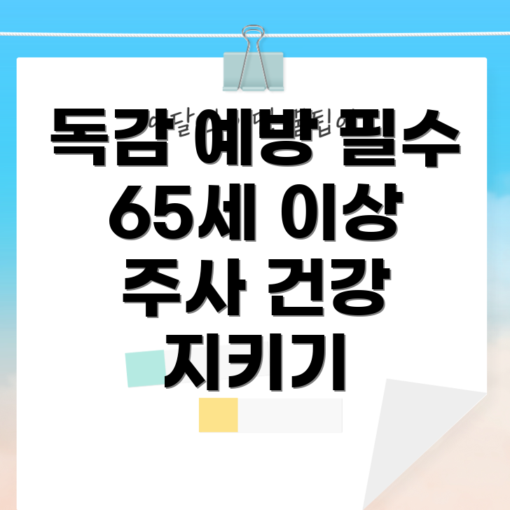 65세 이상 독감 예방 주사 요금