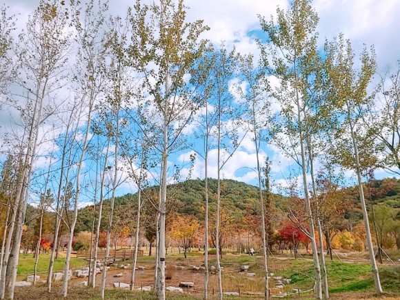 #부산 아이와가 볼만한 바다 운대수목원 14