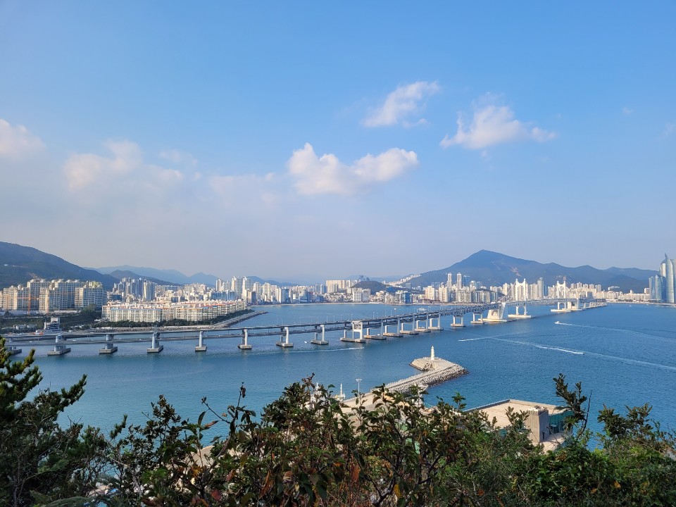  부산가볼만한곳 갈맷길 백련사 바다 뷰