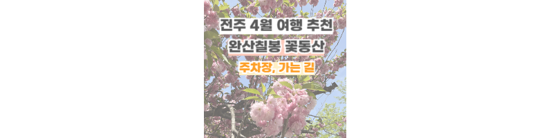 전주4월여행-완산칠봉-꽃동산-주차&#44;가는방법