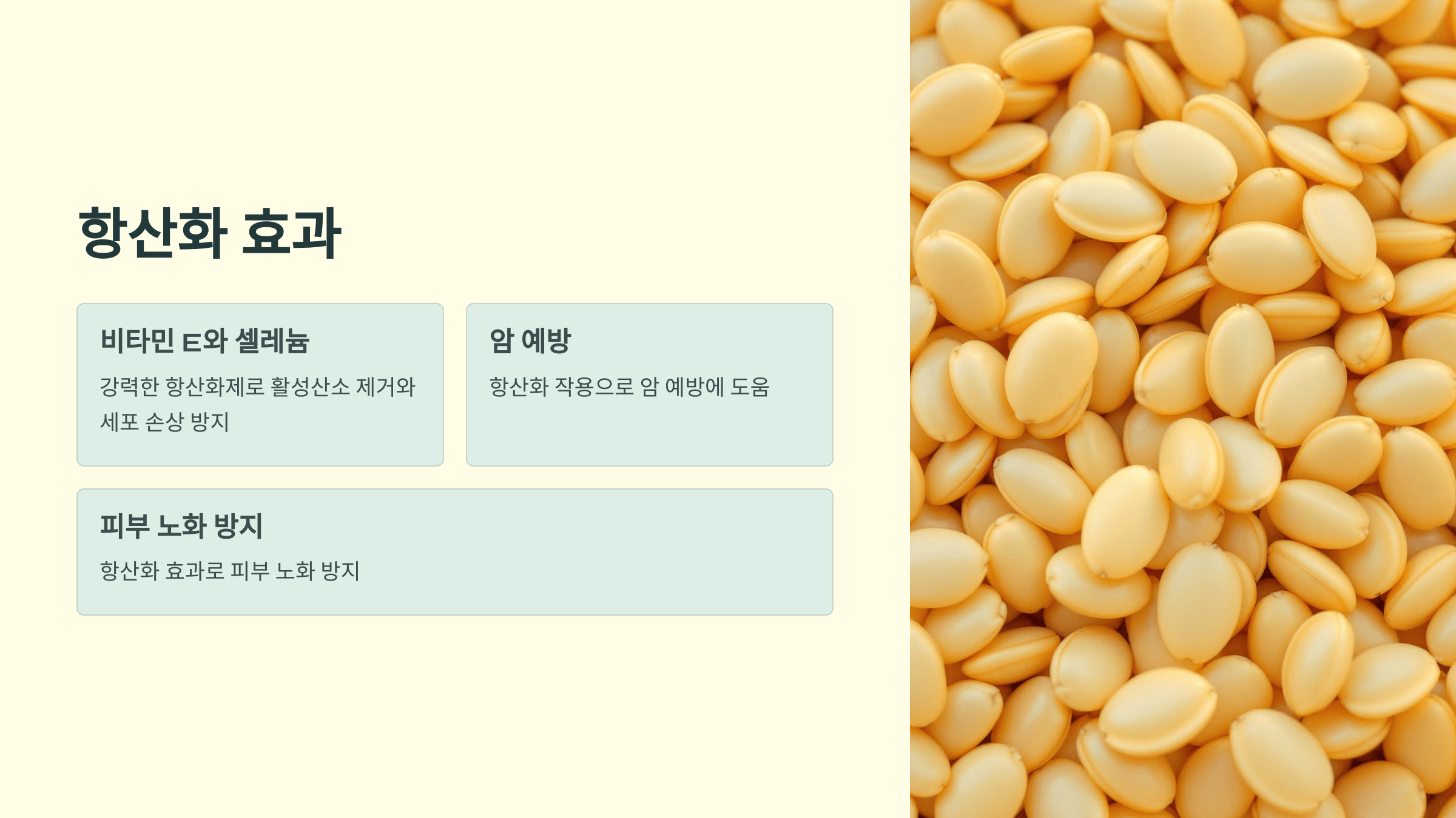 해바라기씨 사진입니다.