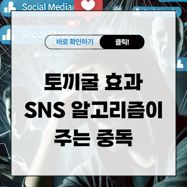 토끼굴 효과, SNS 알고리즘이 주는 중독