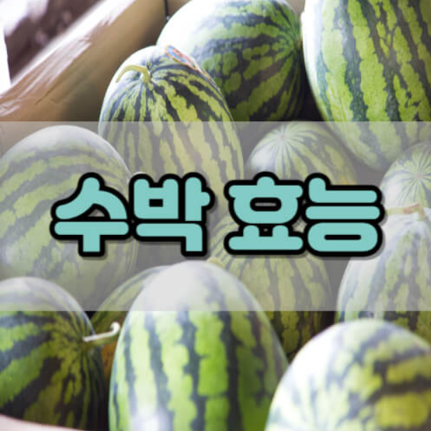 수박 효능 부작용