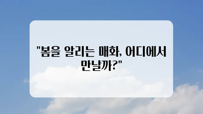 매화꽃 개화시기와 매화꽃 명소 5곳 추천