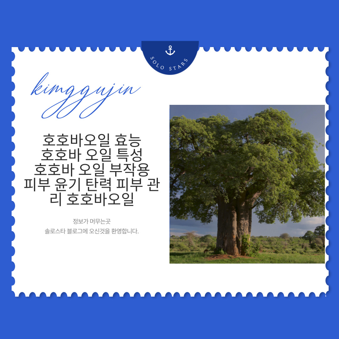 호호바오일 사진